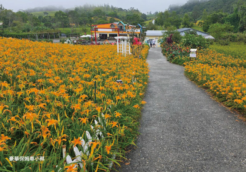 老朋友說走就走，搭著大T一路慢遊赤科山與台東的第5張圖片